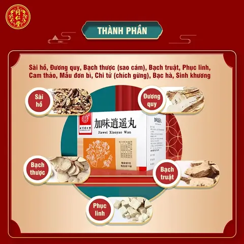 Gia Vị Tiêu Dao Hoàn, hộp 10 gói, hỗ trợ người can tỳ bất hòa, ăn uống kém, hay cáu gắt, kinh nguyệt không đều
