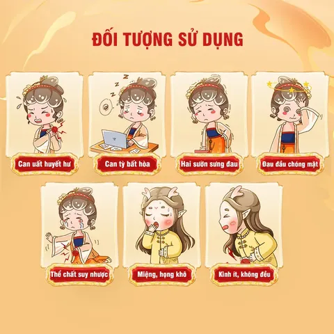 Gia Vị Tiêu Dao Hoàn, hộp 10 gói, hỗ trợ người can tỳ bất hòa, ăn uống kém, hay cáu gắt, kinh nguyệt không đều