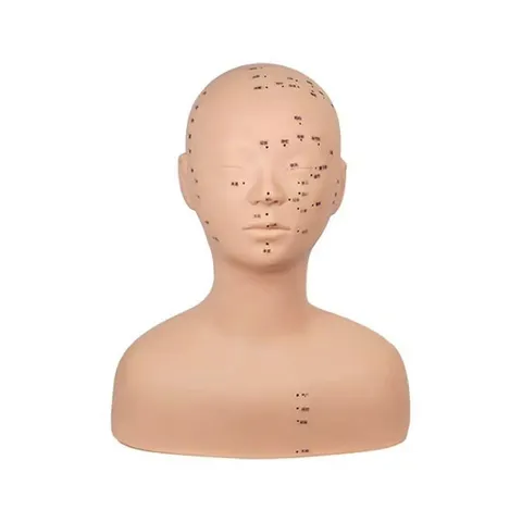 Đầu canh học massage cổ vai gáy (Có điểm bấm huyệt). Canh Lưng Silicon MC
