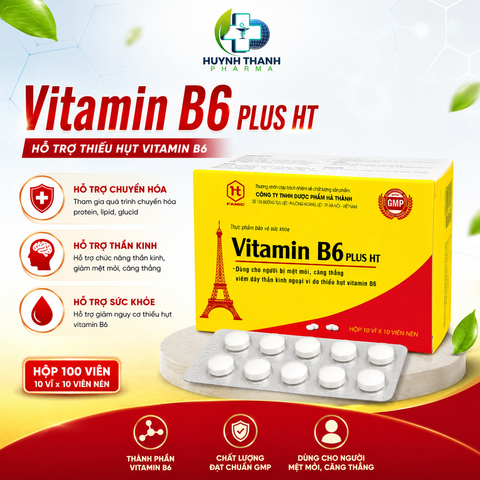 VITAMIN B6 - HỘP 100 VIÊN NÉN
