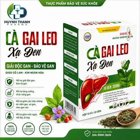 Viên Uống Mát Gan Cà Gai Leo Xạ Đen- Hộp 100 Viên