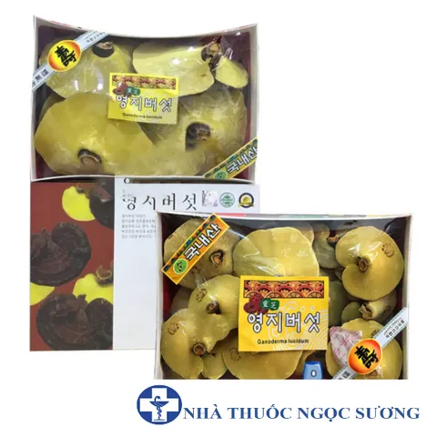 Nấm linh chi núi có bào tử 365 Hàn Quốc hộp 1kg