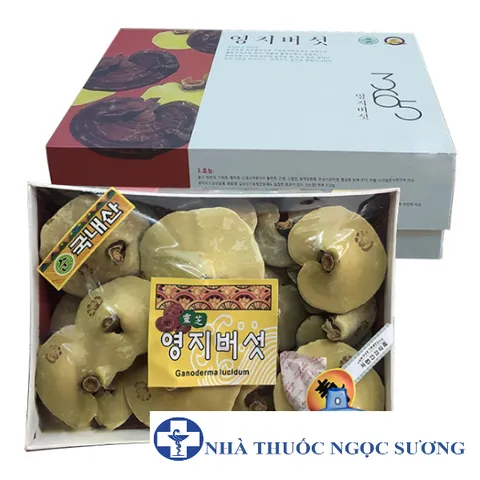 Nấm linh chi núi có bào tử 365 Hàn Quốc hộp 1kg