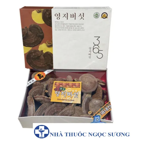 Nấm linh chi núi có bào tử 365 Hàn Quốc hộp 1kg