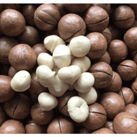Hạt Macca Daklak sấy nứt vỏ túi Zip 500g