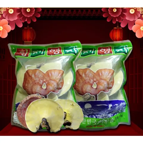 Nấm linh chi vàng Hàn Quốc loại thượng hạng túi xanh 1kg
