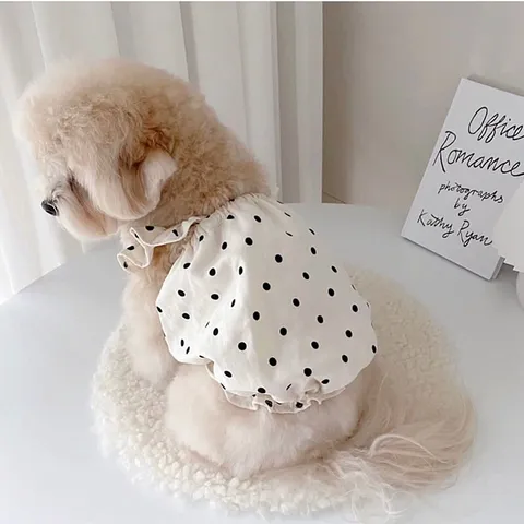 Váy chấm bi trắng kem (Tặng kẹp nơ) - Áo, váy cho chó mèo, thú cưng - Ziềng iu Petshop