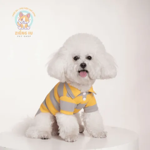 Áo Polo Kẻ cho thú cưng - Áo, váy cho chó mèo, thú cưng - Ziềng iu Petshop