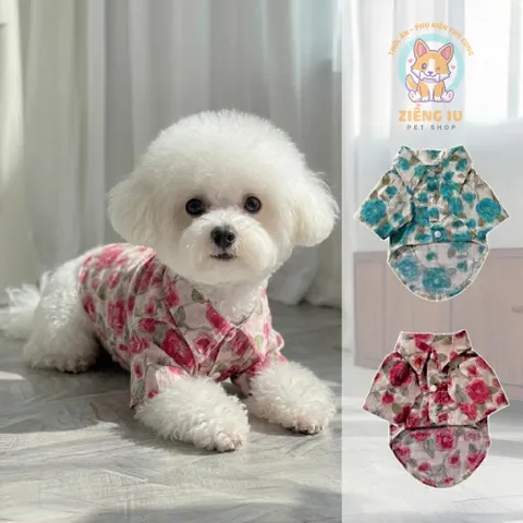 Áo Sơmi Hoa Hòe (Tặng kẹp nơ) cho thú cưng - Áo, váy cho chó mèo, thú cưng - Ziềng iu Petshop