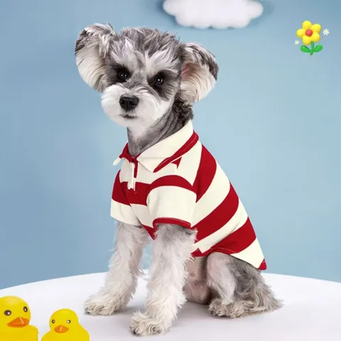 Áo Polo Kẻ cho thú cưng - Áo, váy cho chó mèo, thú cưng - Ziềng iu Petshop