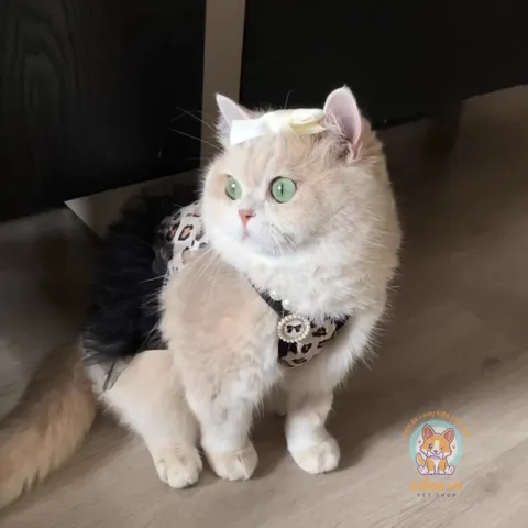 Váy Xòe Báo Bánh Bèo (Tặng kẹp nơ) cho thú cưng - Áo, váy cho chó mèo, thú cưng - Ziềng iu Petshop