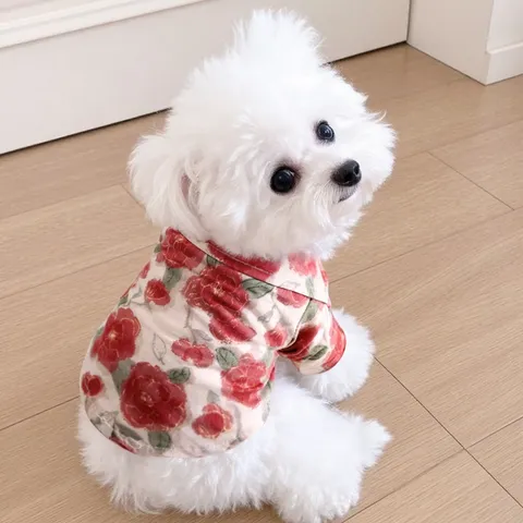 Áo Sơmi Hoa Hòe (Tặng kẹp nơ) cho thú cưng - Áo, váy cho chó mèo, thú cưng - Ziềng iu Petshop