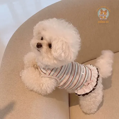 Váy Hello Summer (Tặng kẹp nơ xinh) - Áo, váy cho chó mèo, thú cưng - Ziềng iu Petshop