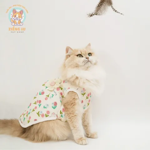 Váy Vườn Xuân (Tặng kẹp nơ) cho thú cưng - Áo, váy cho chó mèo, thú cưng - Ziềng iu Petshop