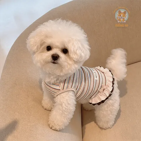Váy Hello Summer (Tặng kẹp nơ xinh) - Áo, váy cho chó mèo, thú cưng - Ziềng iu Petshop
