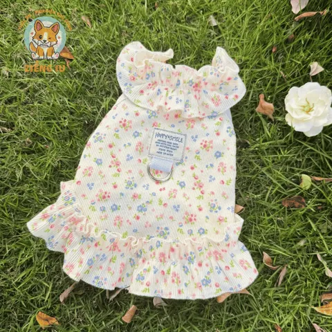 Váy hoa nhí cổ bèo (Tặng kẹp nơ) cho thú cưng - Áo, váy cho chó mèo, thú cưng - Ziềng iu Petshop