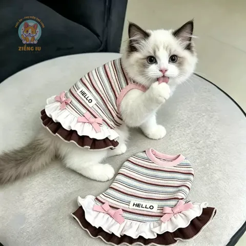 Váy Hello Summer (Tặng kẹp nơ xinh) - Áo, váy cho chó mèo, thú cưng - Ziềng iu Petshop