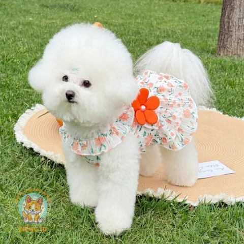 Váy hoa tầng cam đào (Tặng kẹp nơ) - Áo, váy cho chó mèo, thú cưng - Ziềng iu Petshop