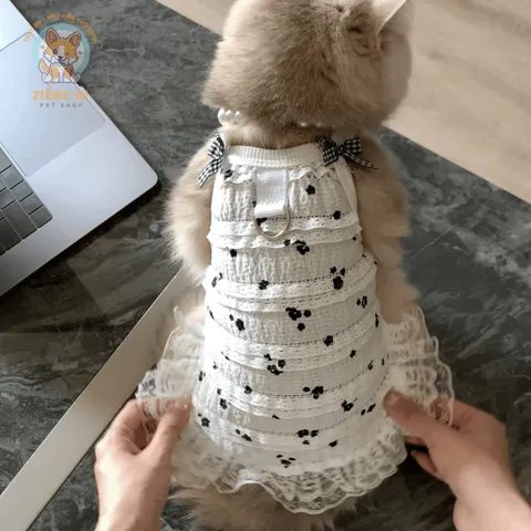 Váy Mây Trắng Ren (Tặng kẹp nơ) - Áo, váy cho chó mèo, thú cưng - Ziềng iu Petshop