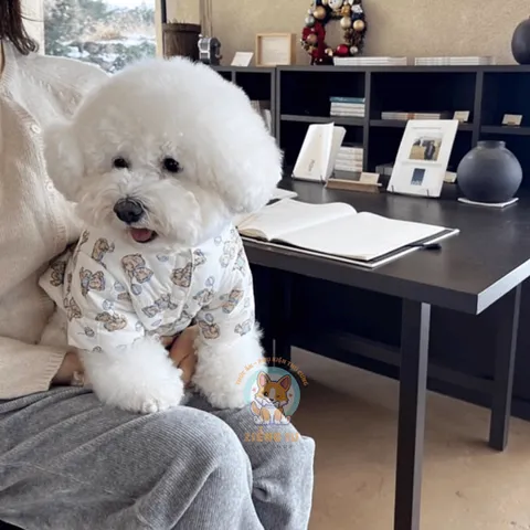 Áo Phao Gấu Kem lót lông (Tặng kẹp nơ) cho thú cưng - Áo, váy cho chó mèo, thú cưng - Ziềng iu Petshop