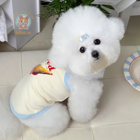 Váy/Áo Kem Ngọt Ngào (Tặng kẹp nơ) - Áo, váy cho chó mèo, thú cưng - Ziềng iu Petshop