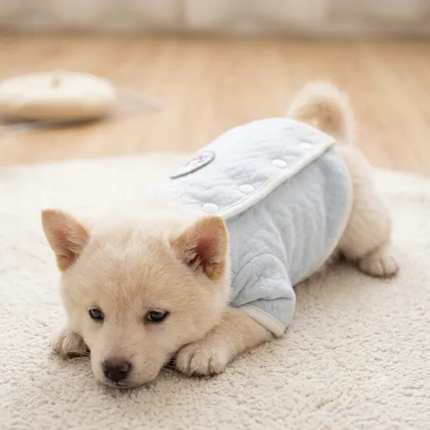 Áo Pijama Pinky Blue (Tặng kẹp nơ) cho thú cưng - Áo, váy cho chó mèo, thú cưng - Ziềng iu Petshop