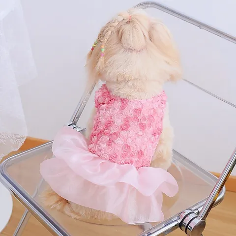 Váy Nàng Thơ Pink Rosette (Tặng kẹp nơ xinh) - Áo, váy cho chó mèo, thú cưng - Ziềng iu Petshop