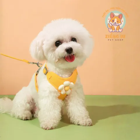 Dây dắt cúc họa mi - Dây dắt cho chó mèo, dây dắt thú cưng - Ziềng iu Petshop