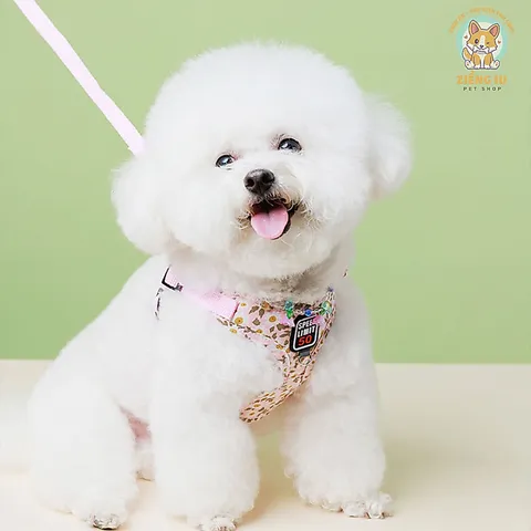 Dây dắt Yếm Hoa Nhí- Dây dắt cho chó mèo, dây dắt thú cưng - Ziềng iu Petshop
