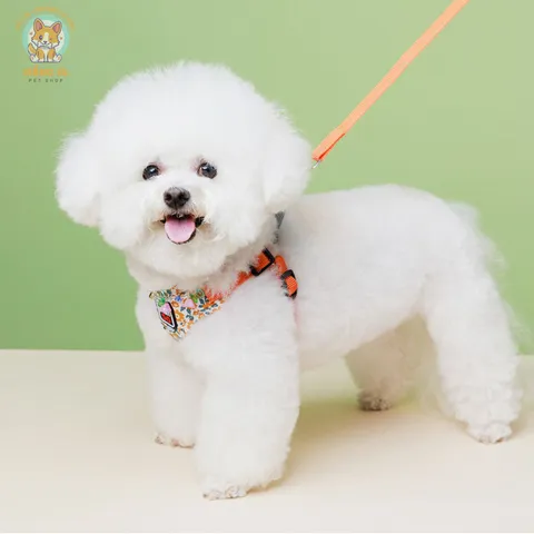 Dây dắt Yếm Hoa Nhí- Dây dắt cho chó mèo, dây dắt thú cưng - Ziềng iu Petshop