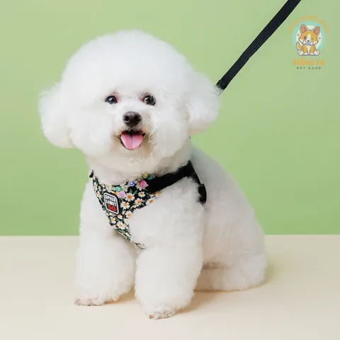 Dây dắt Yếm Hoa Nhí- Dây dắt cho chó mèo, dây dắt thú cưng - Ziềng iu Petshop
