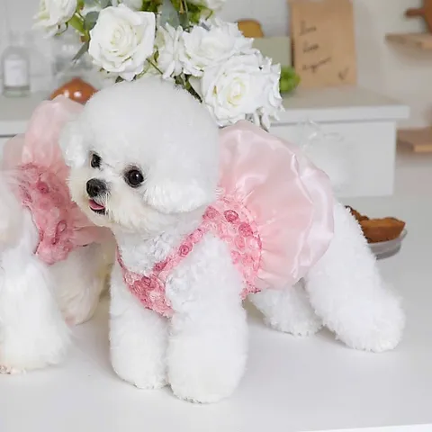 Váy Nàng Thơ Pink Rosette (Tặng kẹp nơ xinh) - Áo, váy cho chó mèo, thú cưng - Ziềng iu Petshop