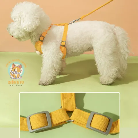 Dây dắt cúc họa mi - Dây dắt cho chó mèo, dây dắt thú cưng - Ziềng iu Petshop