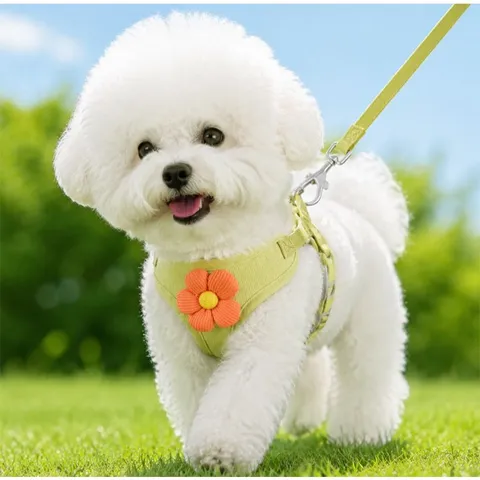 Dây dắt cúc họa mi - Dây dắt cho chó mèo, dây dắt thú cưng - Ziềng iu Petshop