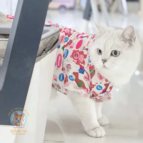 Áo Sơmi Hero (Tặng kẹp nơ) cho thú cưng - Áo, váy cho chó mèo, thú cưng - Ziềng iu Petshop