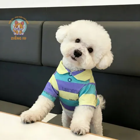 Áo Polo Thun Kẻ Sọc cho thú cưng - Áo, váy cho chó mèo, thú cưng - Ziềng iu Petshop
