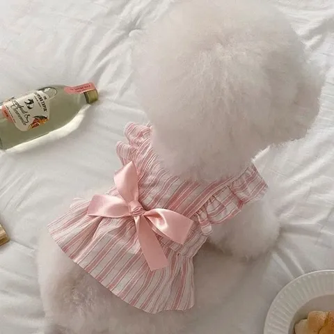 Váy nơ kẻ cho thú cưng (Tặng kẹp nơ) - Áo, váy cho chó mèo, thú cưng - Ziềng iu Petshop