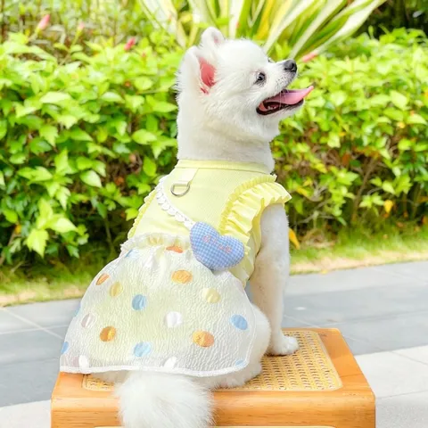 Váy Kẹo Ngọt (Tặng kẹp nơ) cho thú cưng - Áo, váy cho chó mèo, thú cưng - Ziềng iu Petshop
