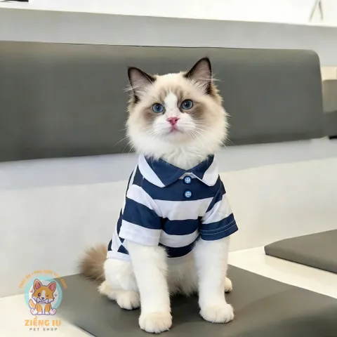 Áo Polo Thun Kẻ Sọc cho thú cưng - Áo, váy cho chó mèo, thú cưng - Ziềng iu Petshop