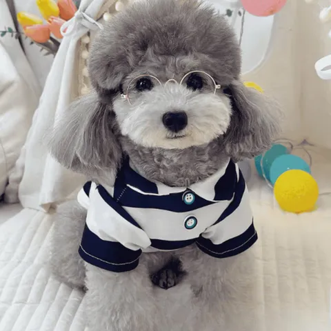Áo Polo Thun Kẻ Sọc cho thú cưng - Áo, váy cho chó mèo, thú cưng - Ziềng iu Petshop