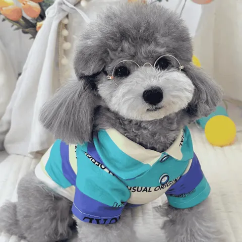 Áo Polo Thun Kẻ Sọc cho thú cưng - Áo, váy cho chó mèo, thú cưng - Ziềng iu Petshop