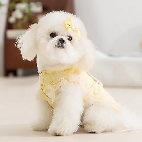 Set Vani Ngọt Ngào (kèm túi + kẹp nơ) - Áo, váy cho chó mèo, thú cưng - Ziềng iu Petshop