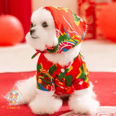 Set Công Phượng và Khăn trùm đầu (Tặng kẹp nơ) cho thú cưng - Áo, váy cho chó mèo, thú cưng - Ziềng iu Petshop