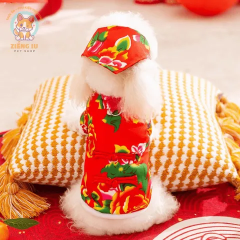 Set Công Phượng và Khăn trùm đầu (Tặng kẹp nơ) cho thú cưng - Áo, váy cho chó mèo, thú cưng - Ziềng iu Petshop