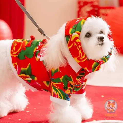Set Công Phượng và Khăn trùm đầu (Tặng kẹp nơ) cho thú cưng - Áo, váy cho chó mèo, thú cưng - Ziềng iu Petshop