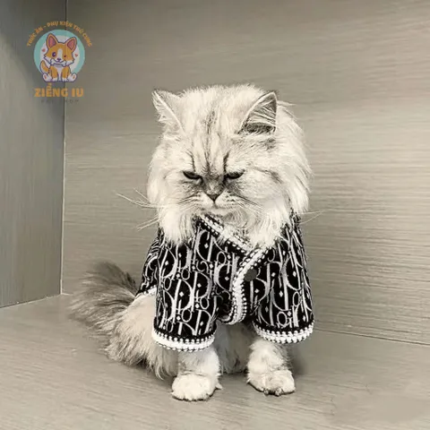 Áo Nỉ Len Cardigan D.i.or (Tặng kẹp nơ) cho thú cưng - Áo, váy cho chó mèo, thú cưng - Ziềng iu Petshop