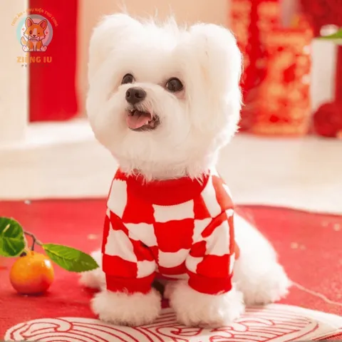Áo Tết Thỏ Phú Quý (Tặng kẹp nơ) cho thú cưng - Áo, váy cho chó mèo, thú cưng - Ziềng iu Petshop