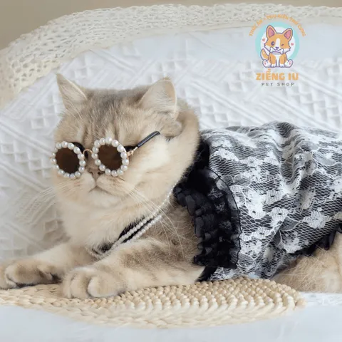 Váy ren hoa nhí sẹcxy (Tặng kẹp nơ) cho thú cưng - Áo, váy cho chó mèo, thú cưng - Ziềng iu Petshop
