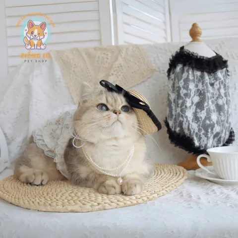 Váy ren hoa nhí sẹcxy (Tặng kẹp nơ) cho thú cưng - Áo, váy cho chó mèo, thú cưng - Ziềng iu Petshop