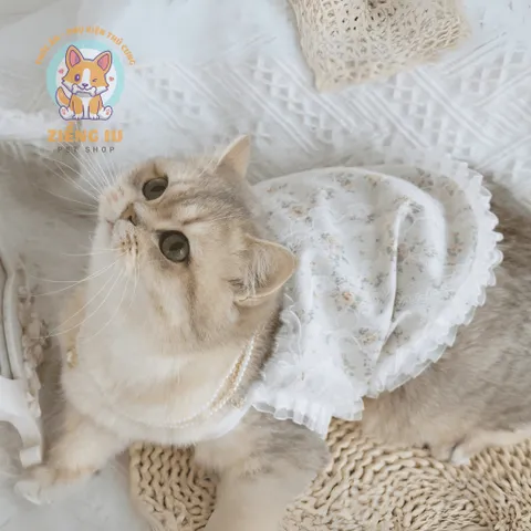 Váy ren hoa nhí sẹcxy (Tặng kẹp nơ) cho thú cưng - Áo, váy cho chó mèo, thú cưng - Ziềng iu Petshop